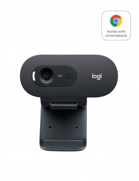 Logitech C505 HD Webcam