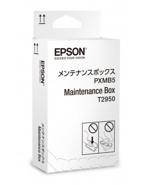 Epson C13T295000 Auffangbehälter für Resttinten Wartungs-Kit