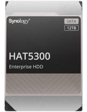 Synology HAS5300-12T - 12 TB 7200 rpm 256 MB 3,5 Zoll SAS 12