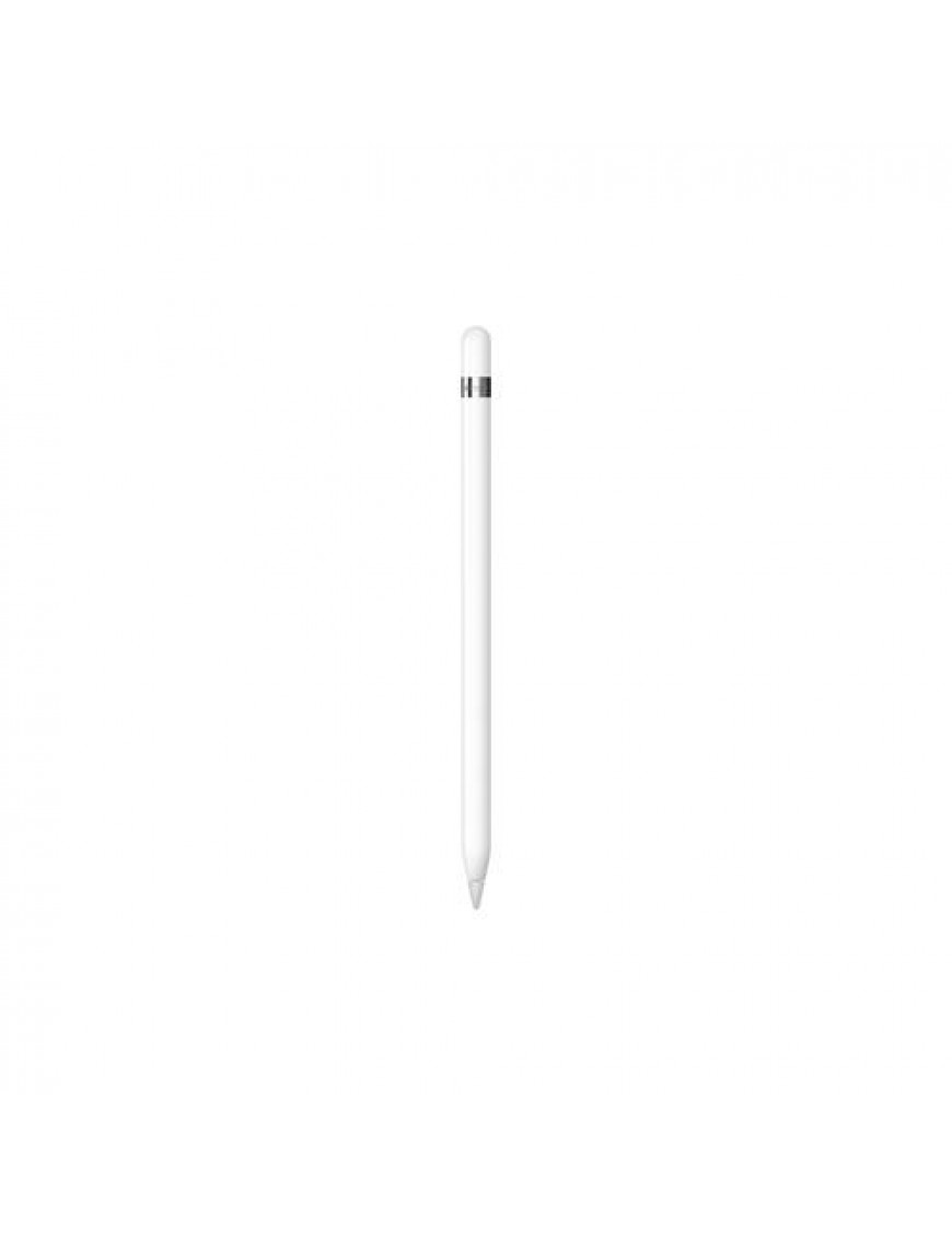 Apple Computer Pencil 1.Generation 2022 inkl USB-C auf Penci