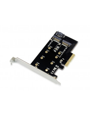 Conceptronic EMRICK04B 2-in-1-M.2-SSD-PCIe-Adapter