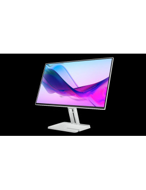 Lenovo L24i-4a 60,5cm (23,8