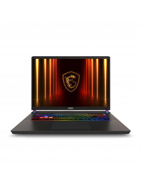 MSI Vector 17 HX A2XWJG-039 17