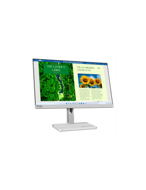 Lenovo L24m-40 60,5cm (23,8