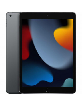 Apple Computer iPad 10,2