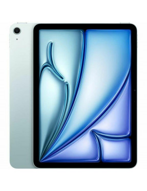 Apple Computer iPad 11