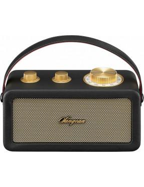 SANGEAN Sangean RA-101 Portabler Bluetooth-Lautsprecher Schw