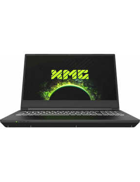 XMG/SCHENKER XMG Apex 16 MAX M25qbv 16